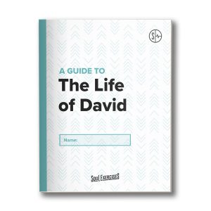 The Life of David