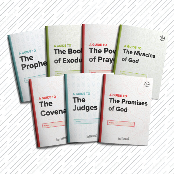 Gray Pack - Image 4